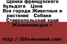 Щенки французского бульдога › Цена ­ 30 000 - Все города Животные и растения » Собаки   . Ставропольский край,Железноводск г.